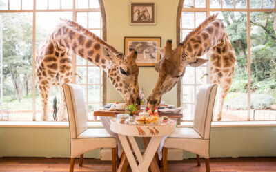 25 of the Most Unique Hotels in the World