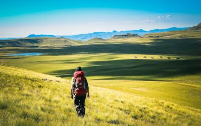 Hiking 101: Hiking Tips For Beginners