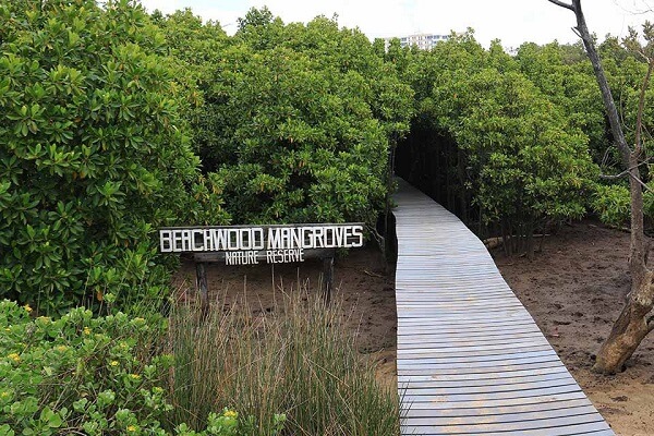Beachwood Mangroves Nature Reserve, Durban